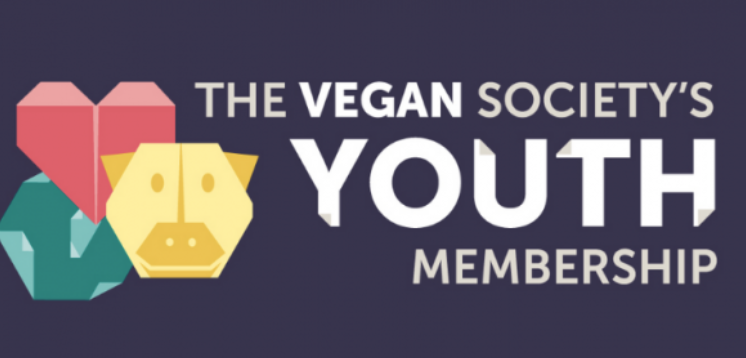 Screenshot 2020 10 21 at 14.52.13