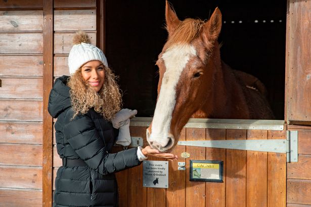 0 HB TMS 111218hopefieldleonalewis 02