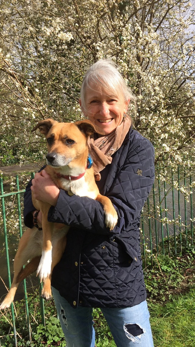 Sandra Hood Headshot