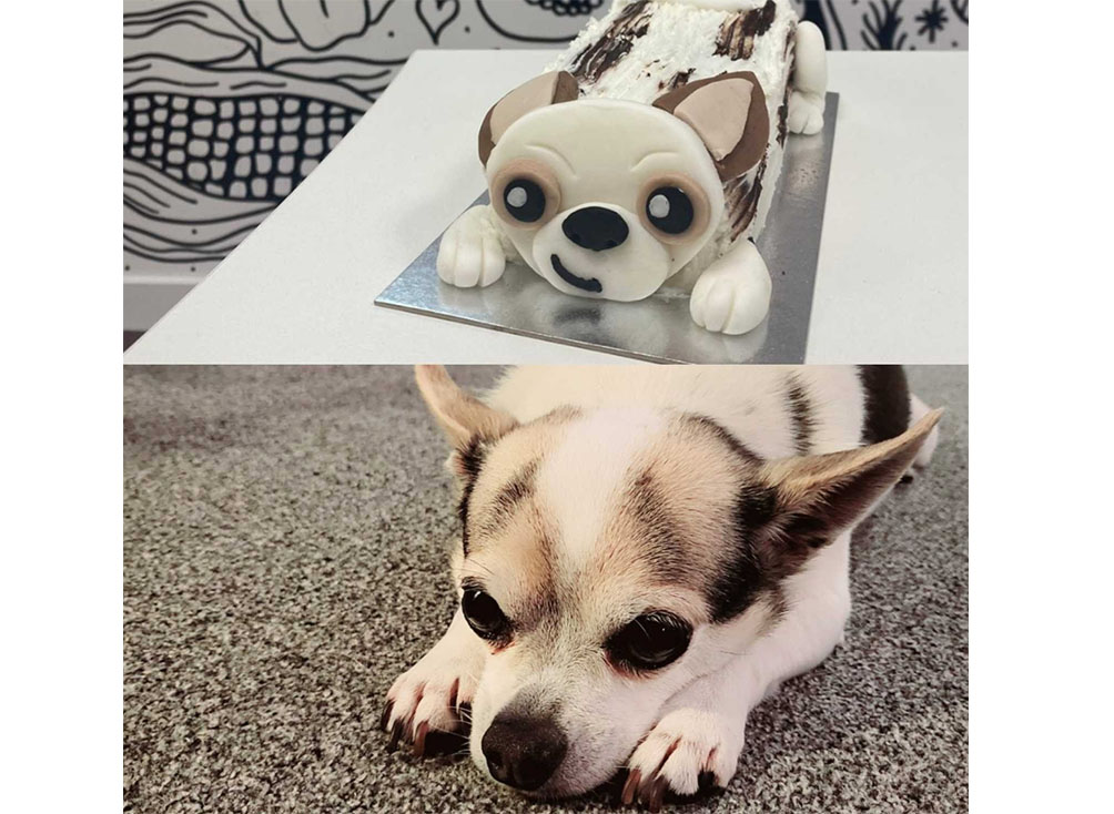 Tyso vs Tyson cake.jpg