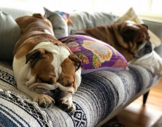 Lewis hamilton coco roscoe 150418