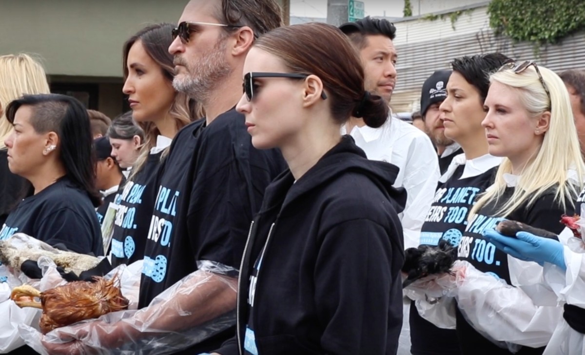 Image placeholder title