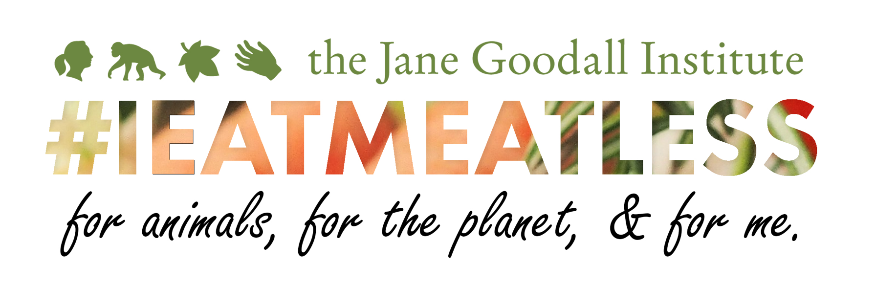 Screenshot 2021 03 18 at 17.04.12