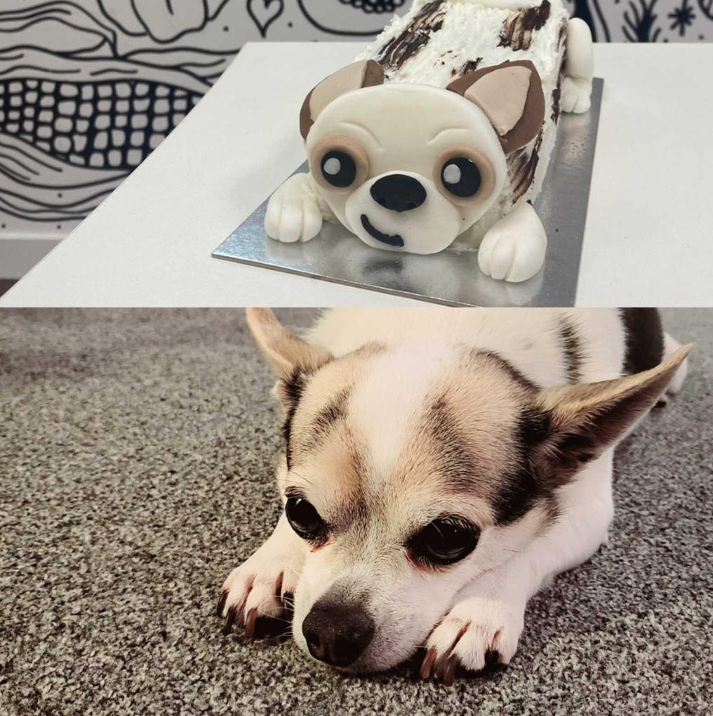 Fondant chihuahua clearance