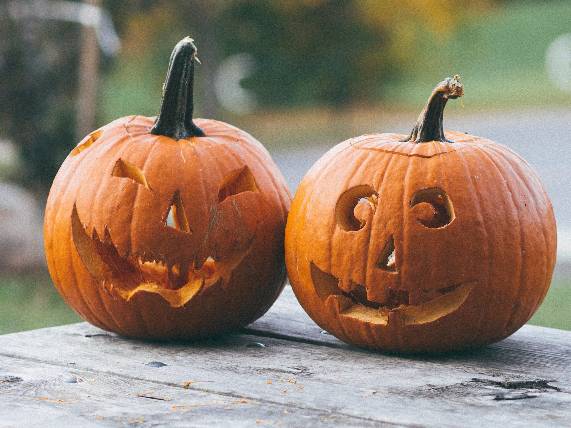 The Ultimate Guide To Having A Planet-Friendly Halloween