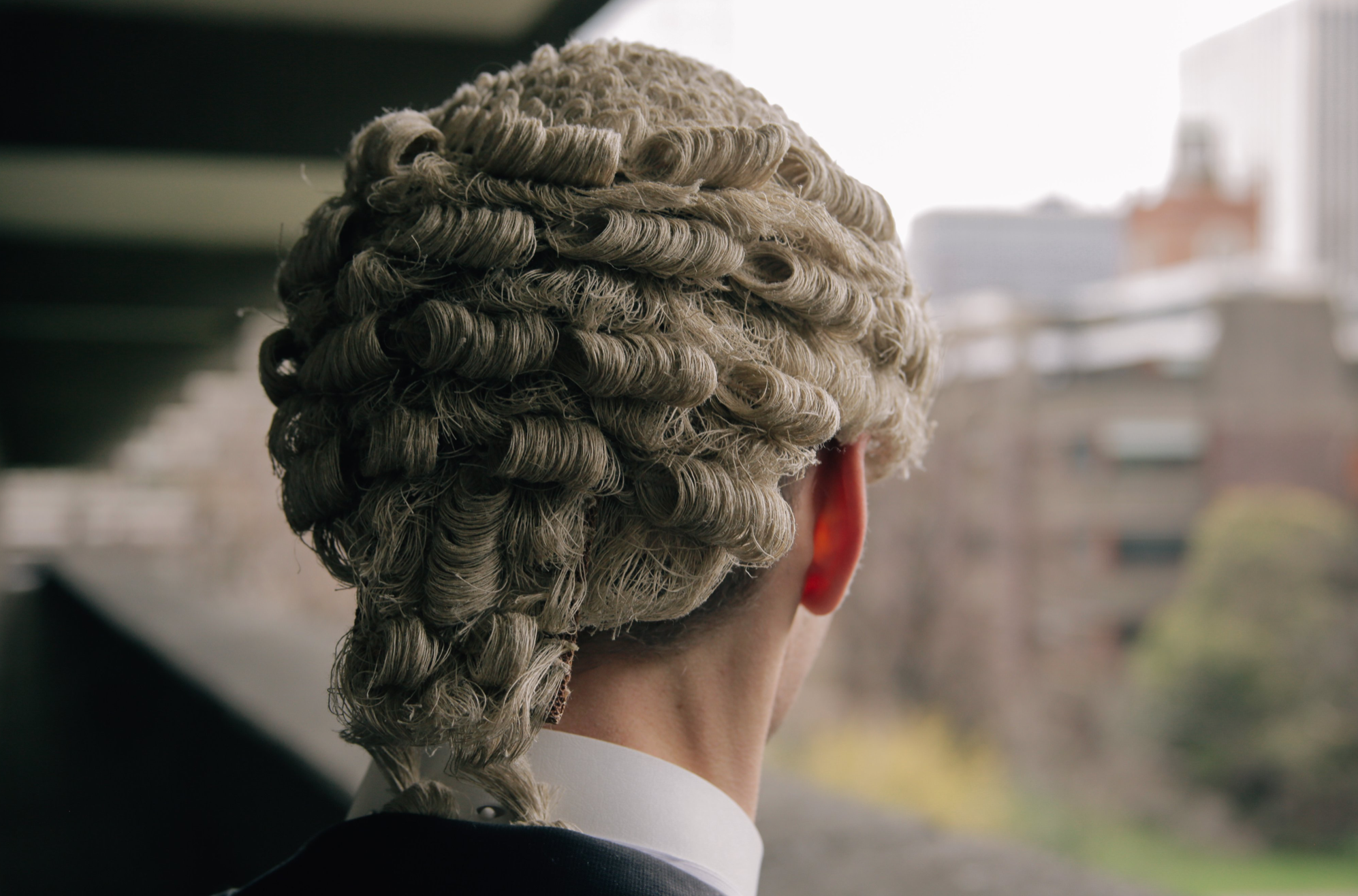 vegan barrister wig.png