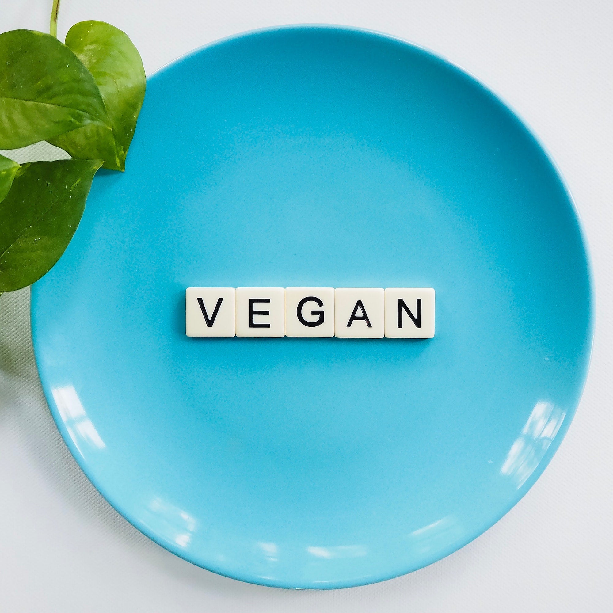 things-you-should-know-before-switching-to-a-vegan-diet-vegan-kind