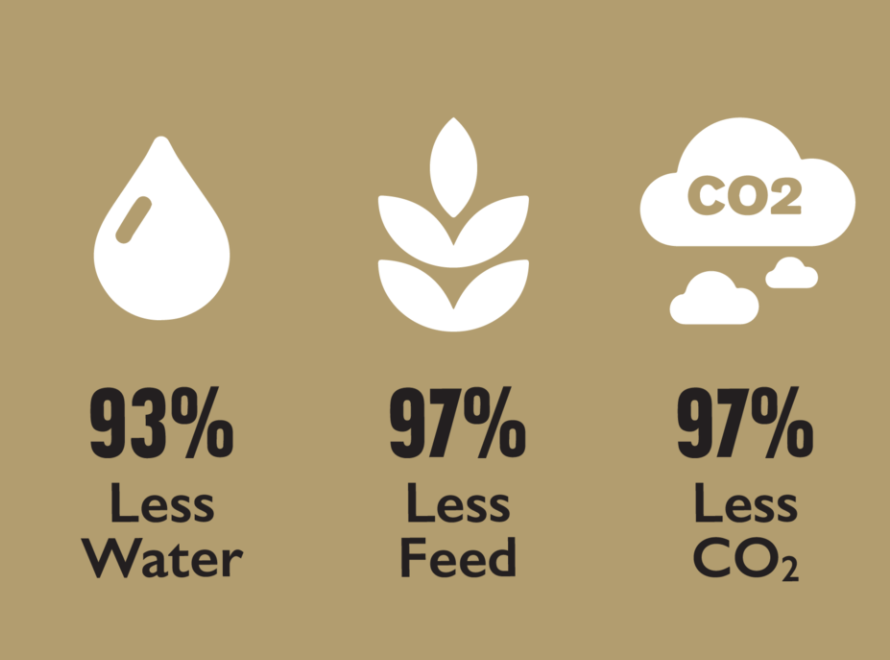 Screenshot 2021 06 23 at 17.14.37