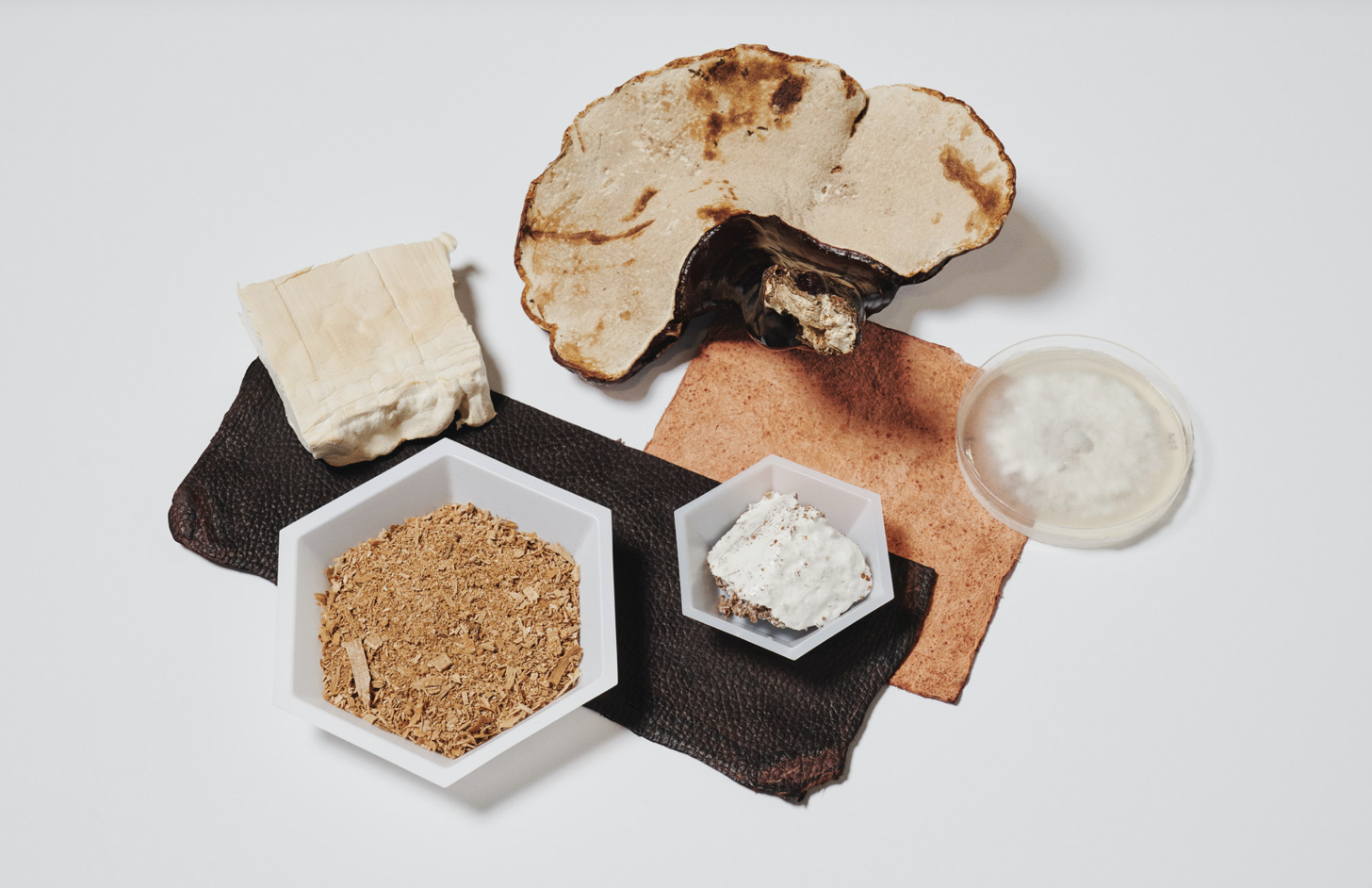 Screenshot 2020 10 12 at 17.56.01