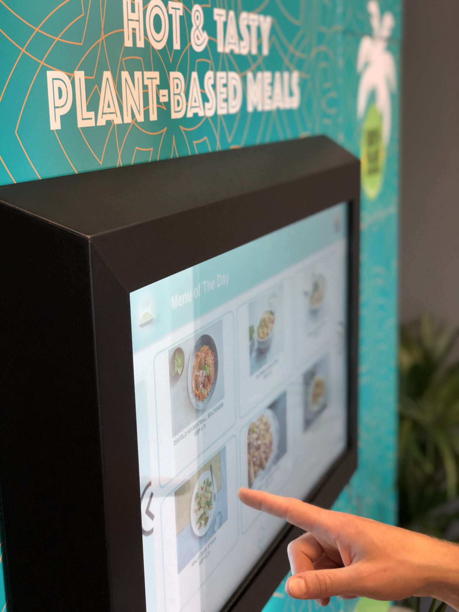 B904daaa img 3669 1536x2048