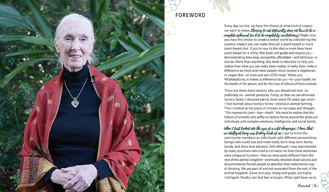 82684 91777 interior 1 2048x2048