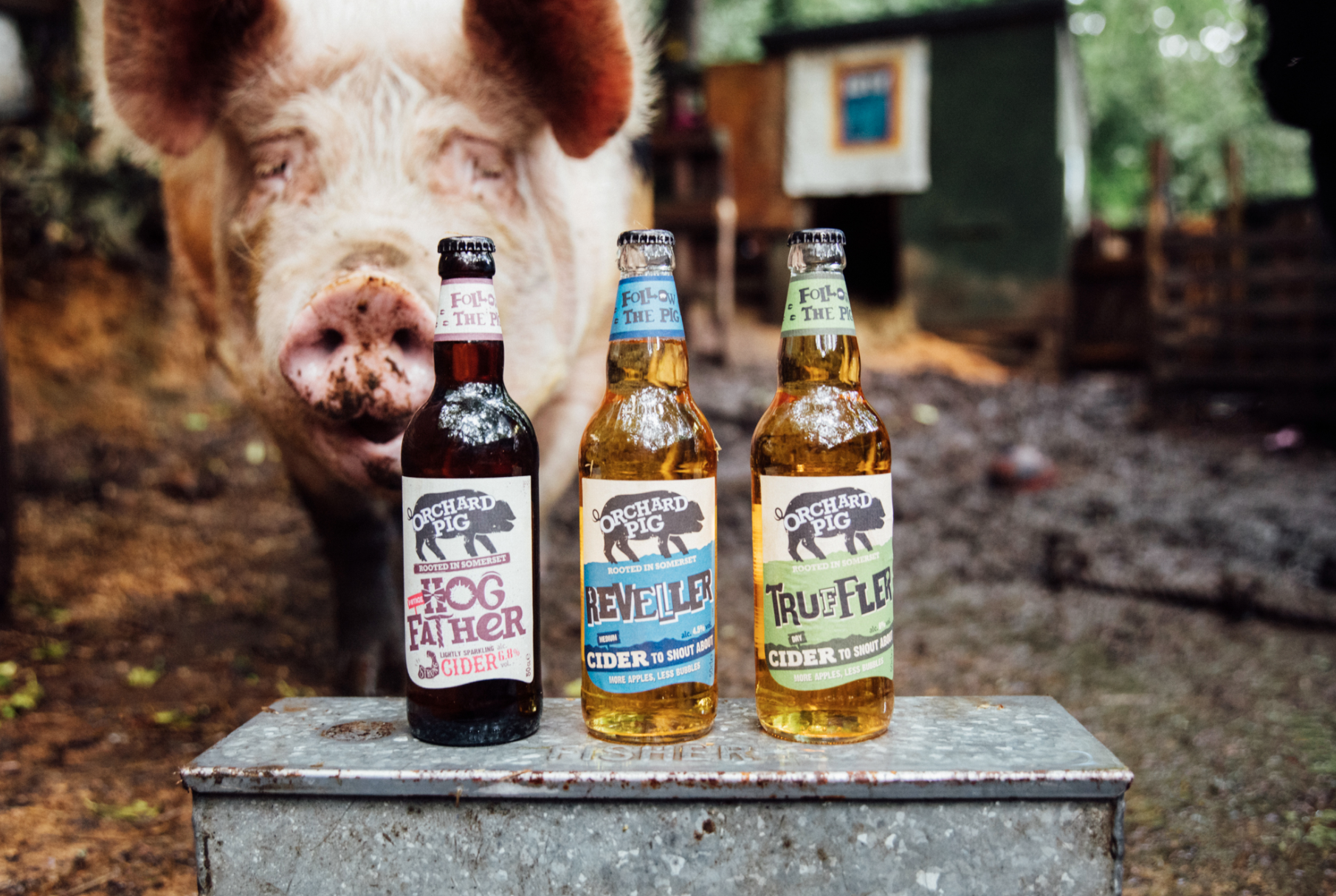 Screenshot 2021 08 03 at 16.15.18