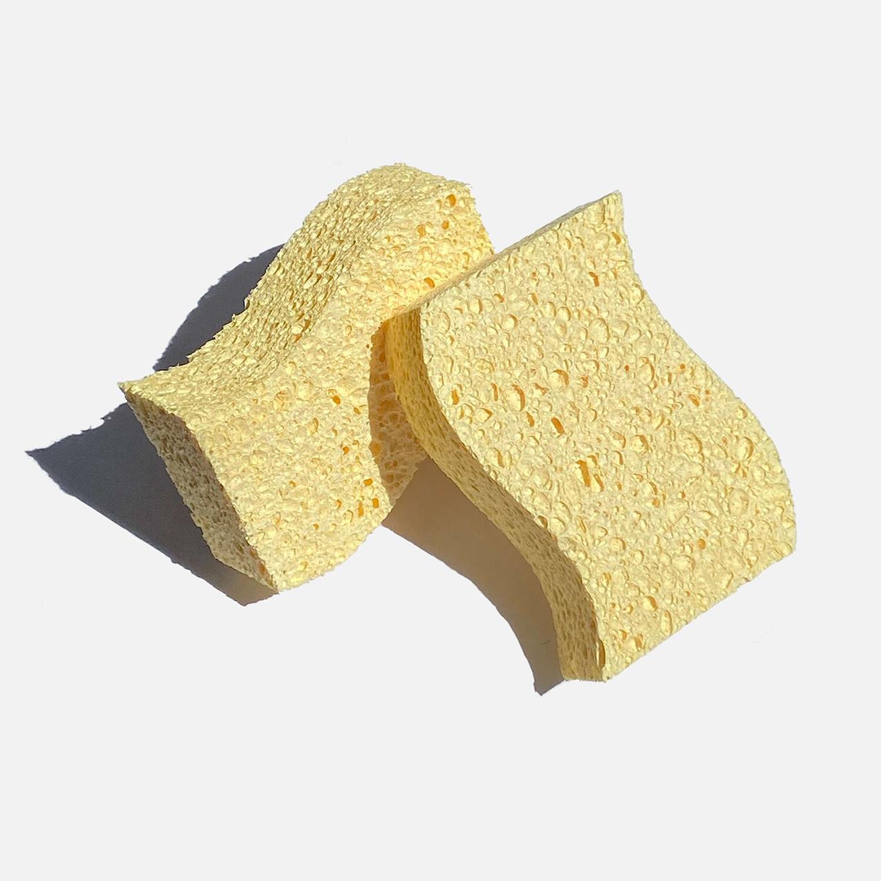Biodegradable sponges