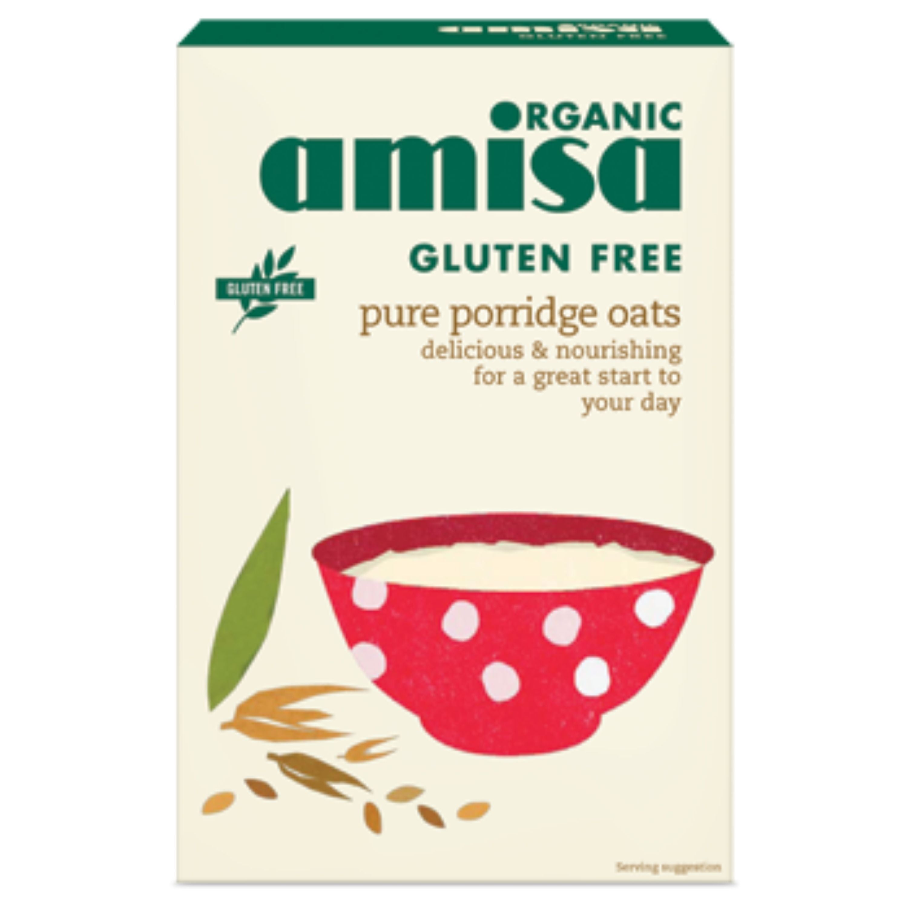 amisa porridge oats