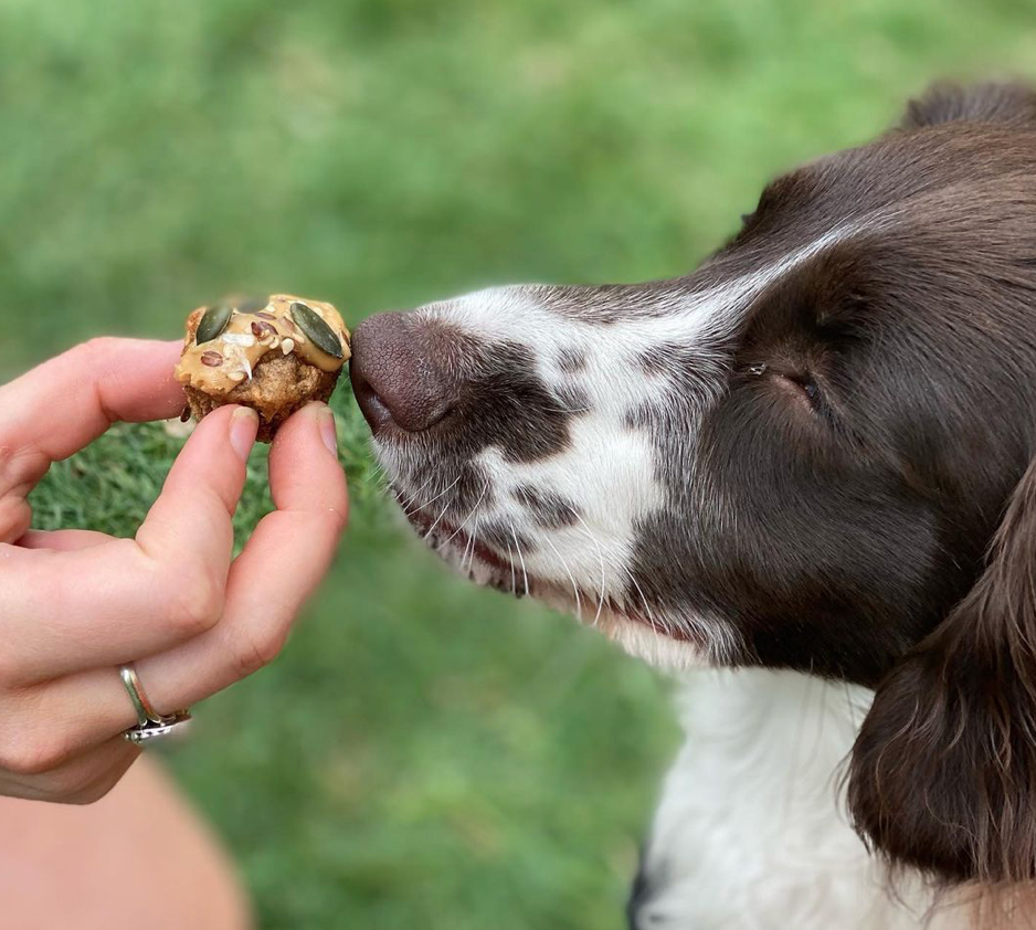 lickmix dog treats.png