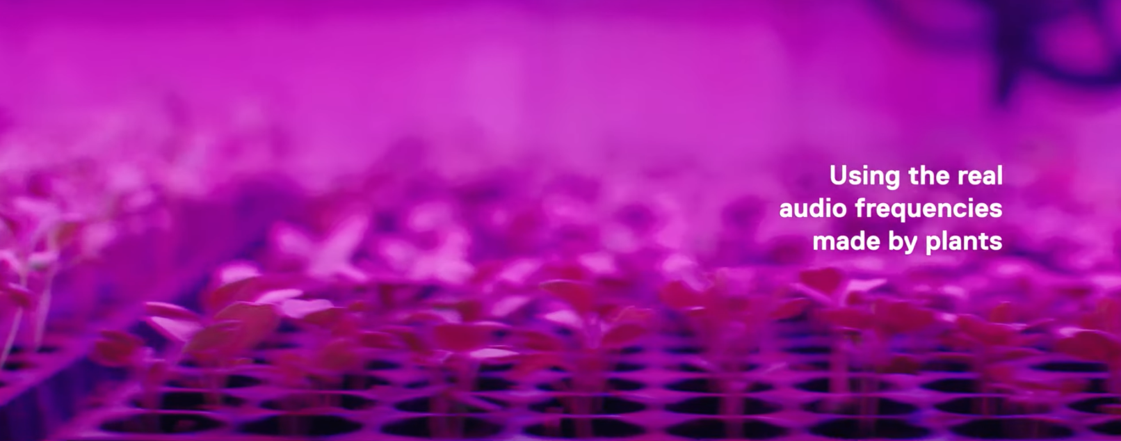 Screenshot 2021 04 26 at 18.32.21