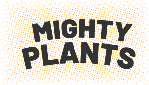Mighty Plants
