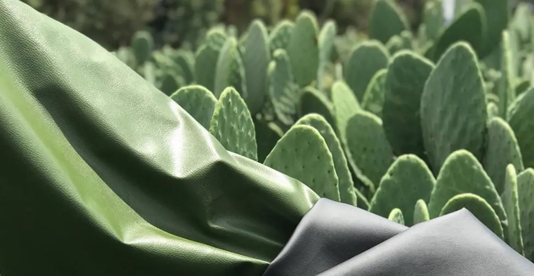 Screenshot 2021 03 05 at 15.31.00