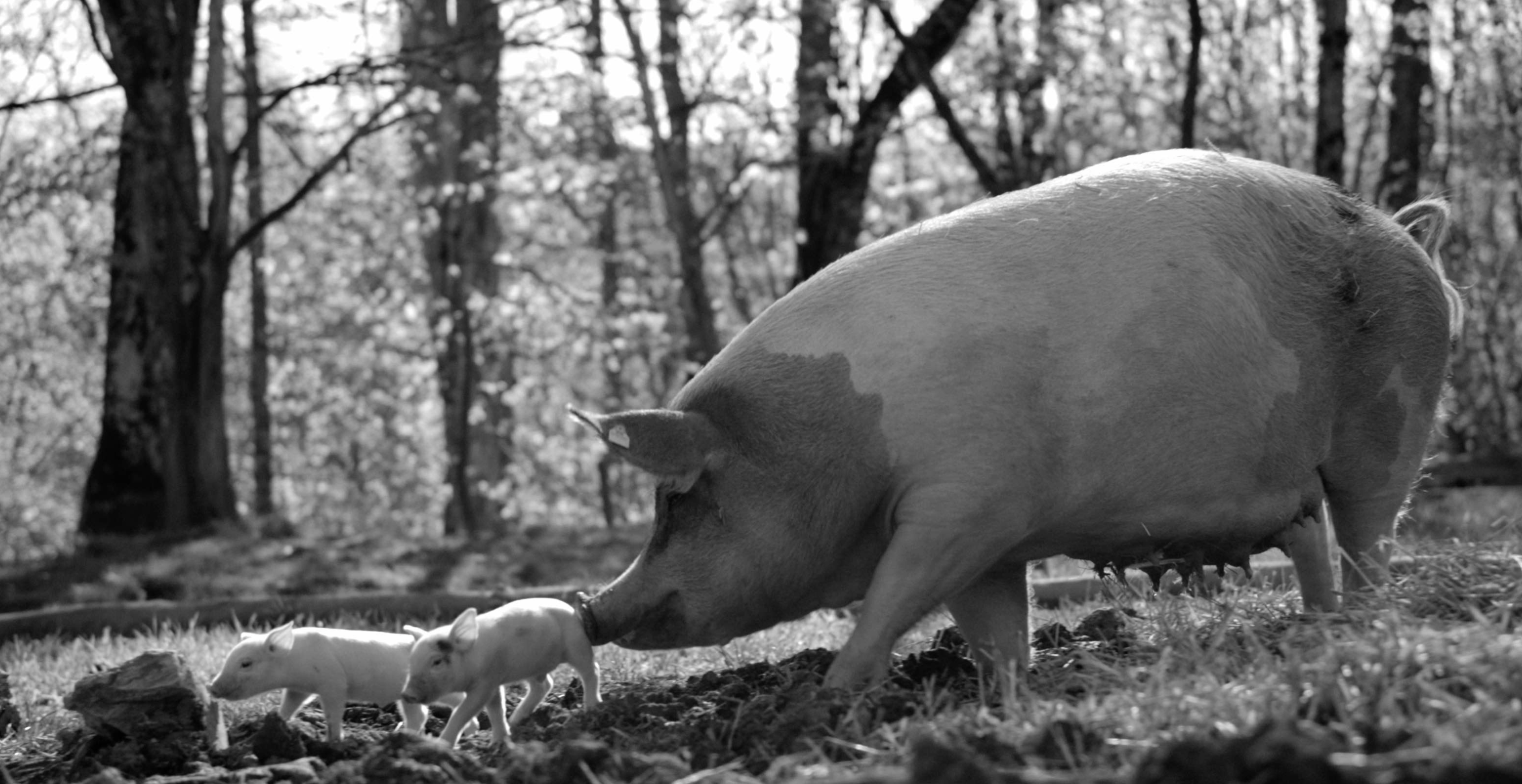 Screenshot 2021 06 07 at 18.38.03