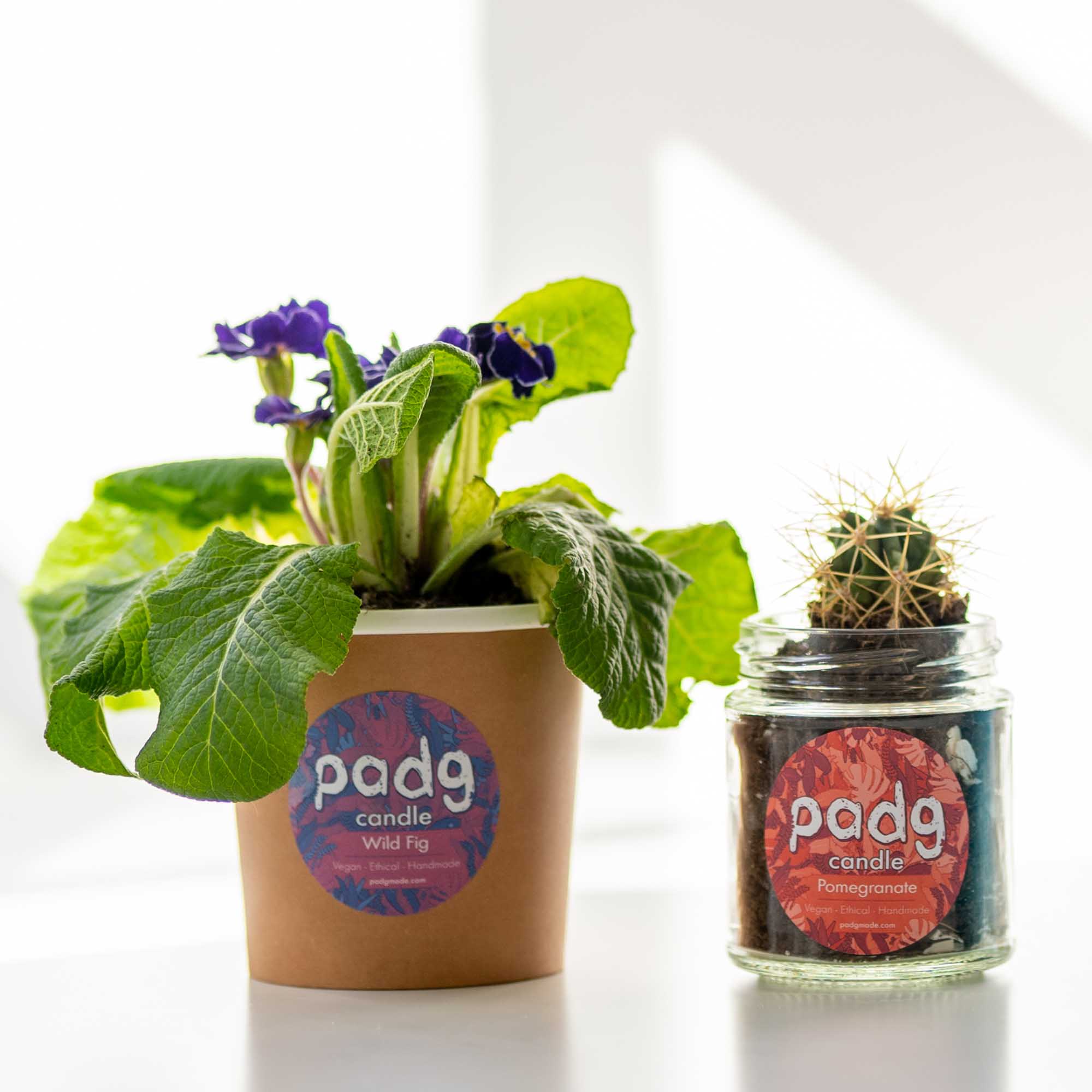 padg flower pots.jpg