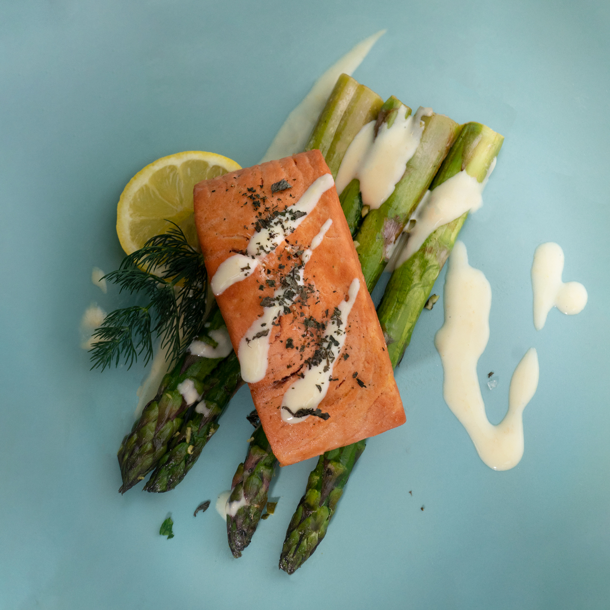 Revo Salmon Fillet 4.jpg